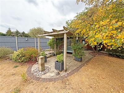 Picture 19
